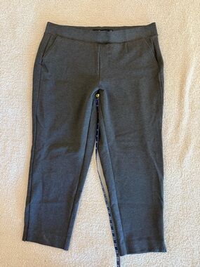 torrid Men's Dark Charcoal Gray Chinos